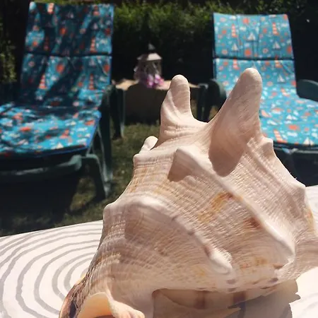 Апартаменты T&j